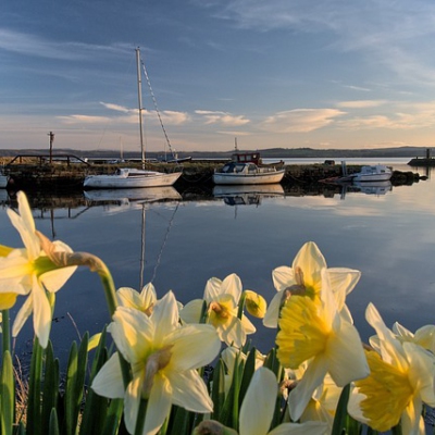 Fife image